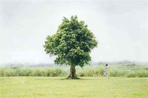 大樹的好處|在公園,與樹相遇